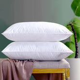 Vacuum Packed Filled Pillows