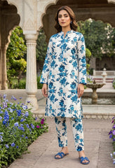 2 Pcs Ladies Suit Des 133