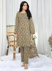 2 Pcs Ladies Suit  Des  151