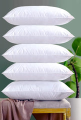 Vacuum Packed Filled Pillows