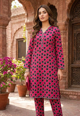 2 Pcs Ladies Suit Des 162