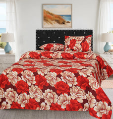 Double Bed Sheet NOS  100