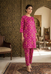 2 Pcs Ladies Suit  Des  101