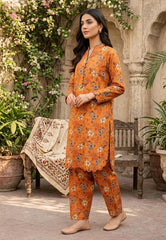 2 Pcs Ladies Suit  Des  132