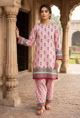 2 Pcs Ladies Suit  Des  136