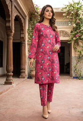 2 Pcs Ladies Suit  Des  160