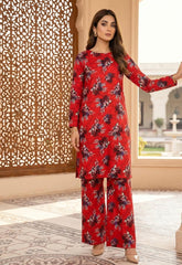 2 Pcs Ladies Suit  Des  164