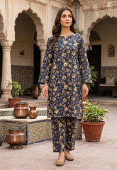 2 Pcs Ladies Suit  Des  167