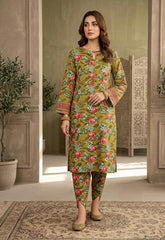 2 Pcs Ladies Suit  Des  169